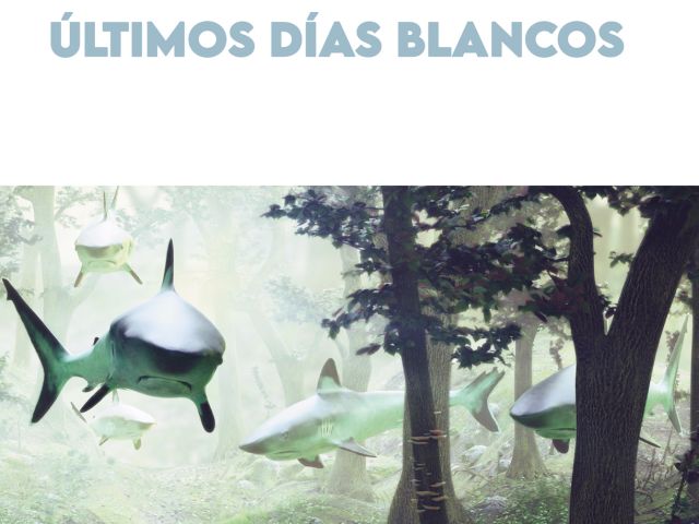 ultimosDiasBlancos_AngelicaMorales